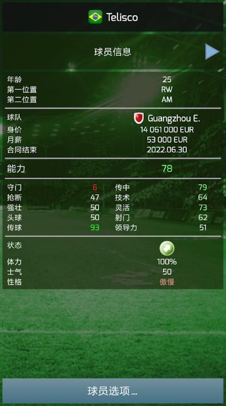 true football3中文版下载,truefootball3,足球游戏,经理游戏
